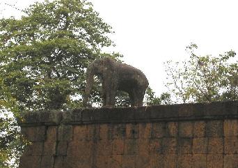 �����{���̊O��